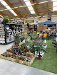 Negocio Les Jardins 2 David