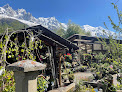 Negocio Les Jardins De Talèfre (Sas Les Fleurs Du Mont Blanc)