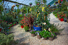Negocio Les Jardins D'eole