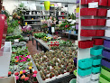 Negocio Magasin Vert