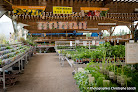 Magasin Vert