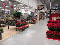 Negocio Magasin Vert Brest Kergaradec