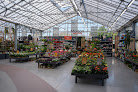 Negocio Magasin Vert Brest Saint Pierre
