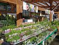 Negocio Magasin Vert Landerneau