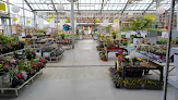Negocio Magasin Vert Lesneven