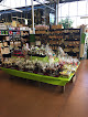 Negocio Magasin Vert Ploemeur