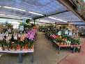 Negocio Magasin Vert Quimper