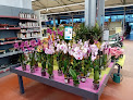 Negocio Magasin Vert Rieux