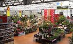 Magasin Vert St-Martin Des Champs