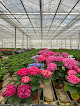 Negocio Malinge Horticulture