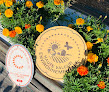 Negocio Midiflore Producteur Herbes Aromatiques-Fleurs Comestibles
