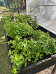 Negocio Mister Green Jardinerie Alternative