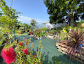 Negocio Palm & Jardin