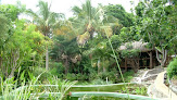 Negocio Pépinière Oasis Du Couchant (La Réunion - 974)