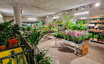 Negocio Plantes Pour Tous - Jardinerie Bellecour