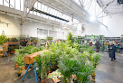 Negocio Plantes Pour Tous - République