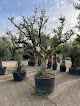 Negocio Provence Végétaux