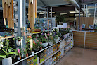 Negocio Sonofep - Pépinière, Jardinerie, Décoration Extérieure À 15 Minutes De Dijon - Particuliers Et Professionnels