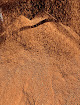 Negocio Terre Végétale 974