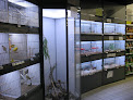 Negocio Zoo Passion