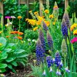 Comment créer un jardin écologique facilement?