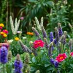 Les erreurs à eviter quand on débute le jardinage