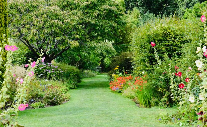 Allée de jardin bordée de fleurs colorées et de verdure