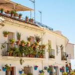 Quelles plantes choisir selon l'exposition de son balcon ?