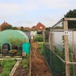 Le compost maison : par où commencer ?