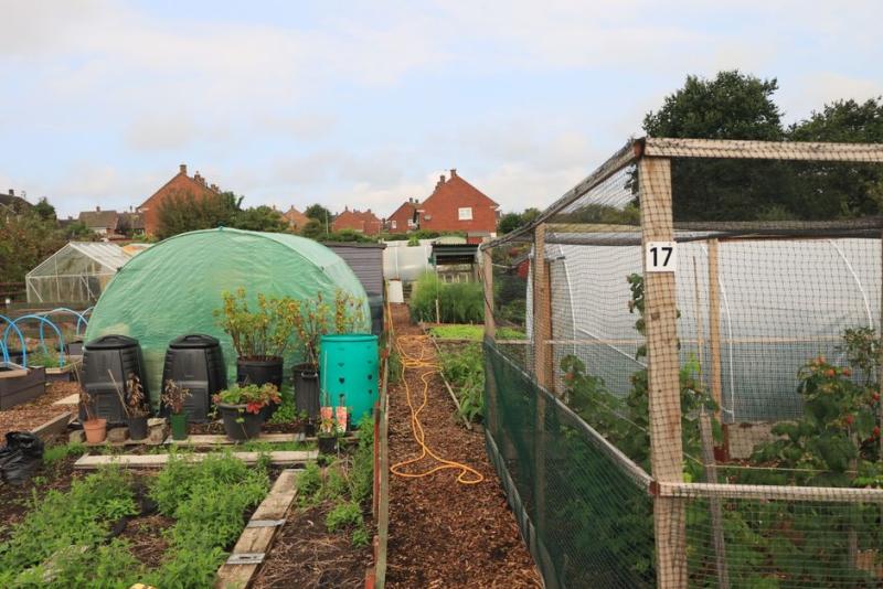 Composteurs noirs installés dans un jardin potager, à côté d'une petite serre