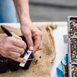 Créer son premier potager : le plan pour débutants