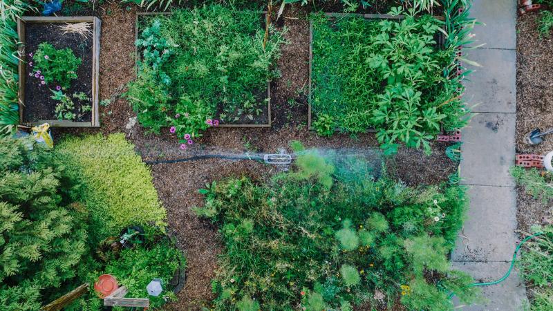 Vue aérienne d’un potager en carrés avec système d’arrosage