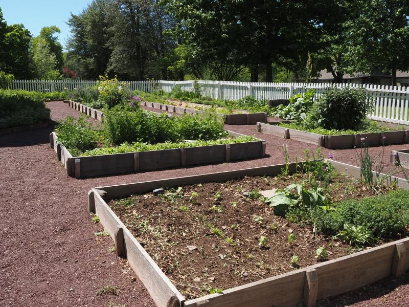 Potager communautaire en carrés surélevés, bien organisé et ensoleillé