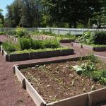 Le carré potager : bien le choisir et l'installer