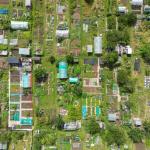 Jardiner en permaculture : les principes de base pour se lancer