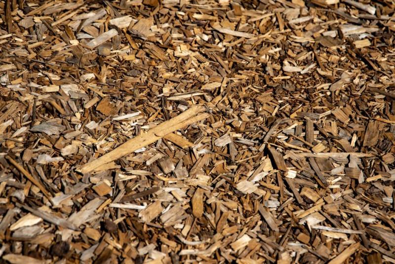 Gros plan sur un paillis de bois brun couvrant le sol d'un massif
