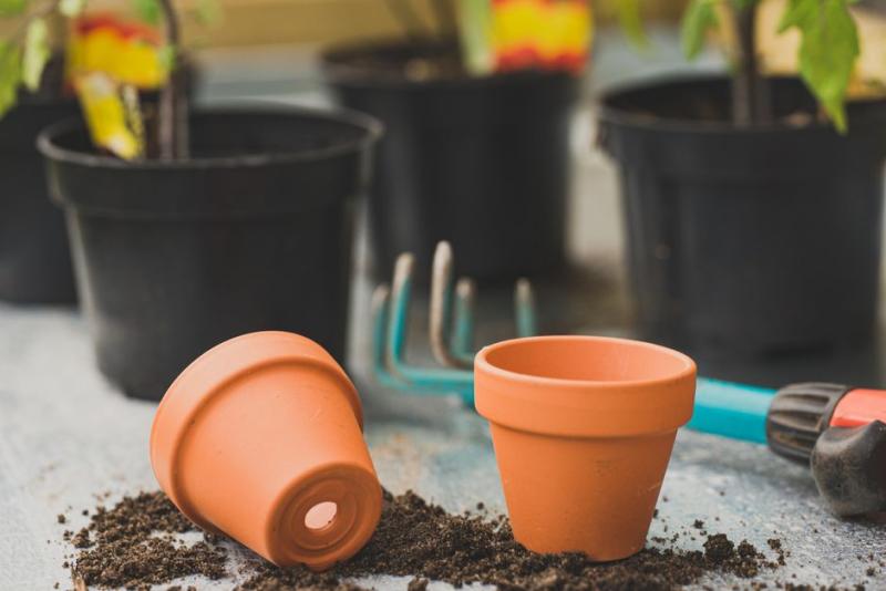 Pots en terre cuite renversés montrant le trou de drainage, à côté de jeunes plants en pot