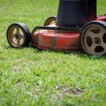 Quelle tondeuse choisir pour son jardin ? Le guide pour ne pas se tromper