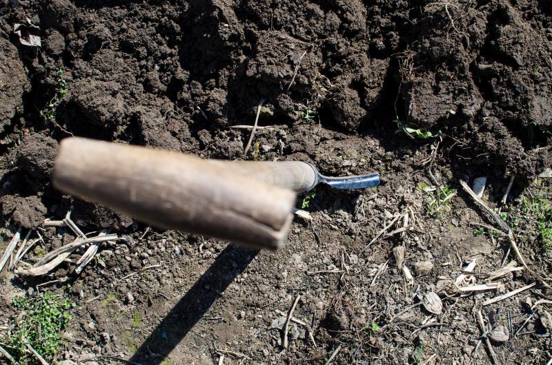 Une fourche-bêche plantée dans une terre fraîchement aérée et décompactée