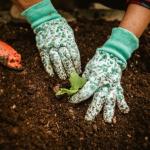 Comment bien préparer son sol avant de planter ?